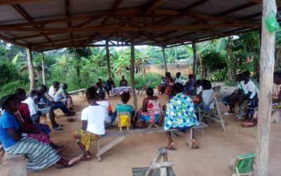 Press Release: Treevaluation – New regeneration-focused company aims to redefine climate-resilient value chains in African agricultural landscapes