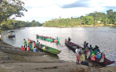 Treevaluation, Saamaka Oto & ALLIED join forces to safeguard tribal land rights and the intact Amazon of Suriname through a unique crowdfunding campaign